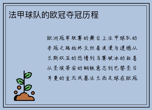 法甲球队的欧冠夺冠历程