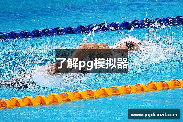 了解pg模拟器